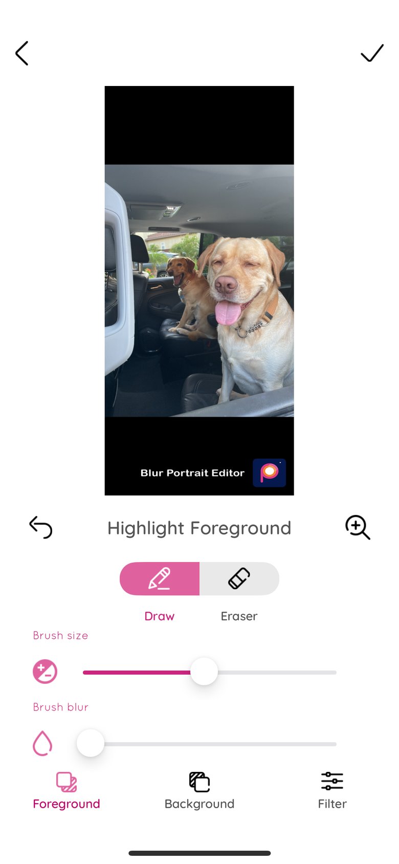 Blur Photo Editor Pro app screen