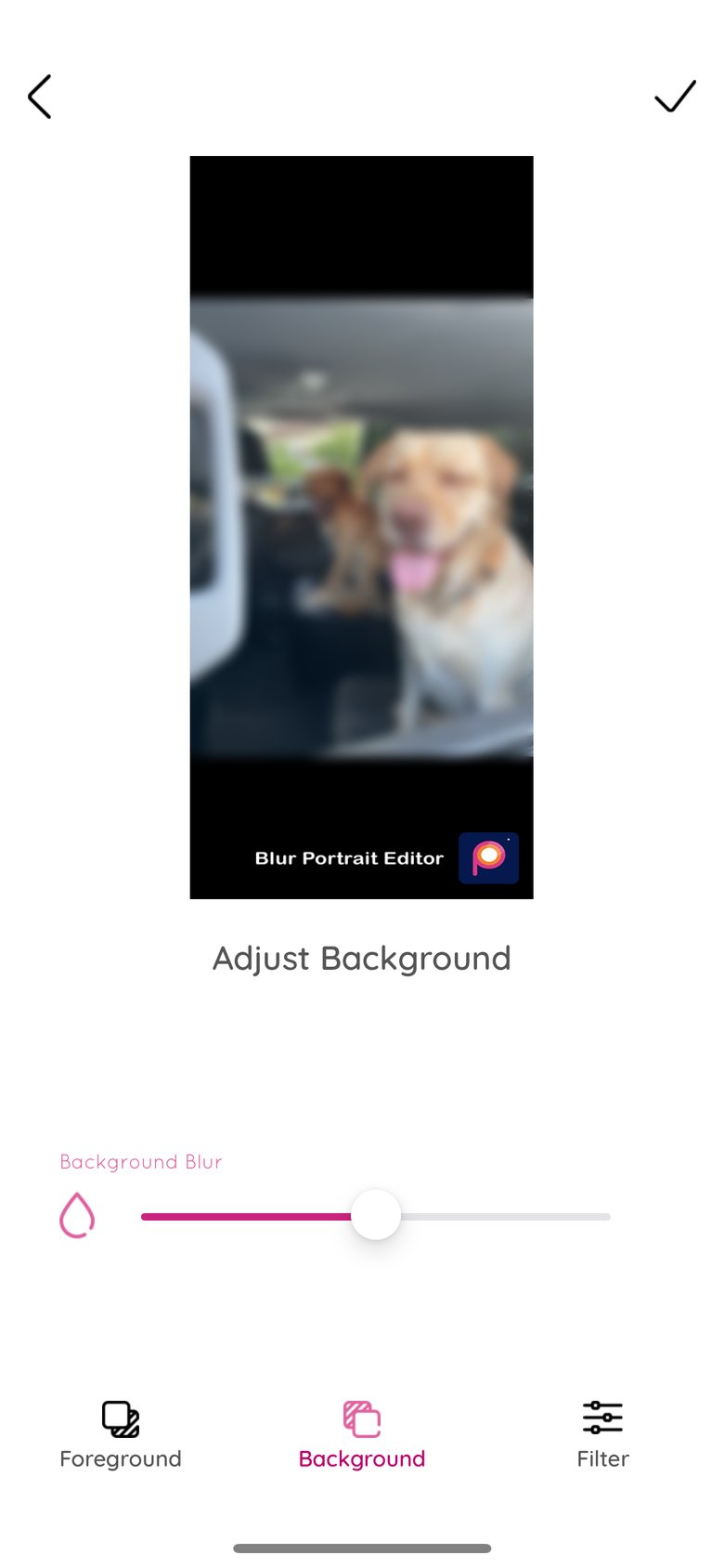 Blur Photo Editor Pro screen 2