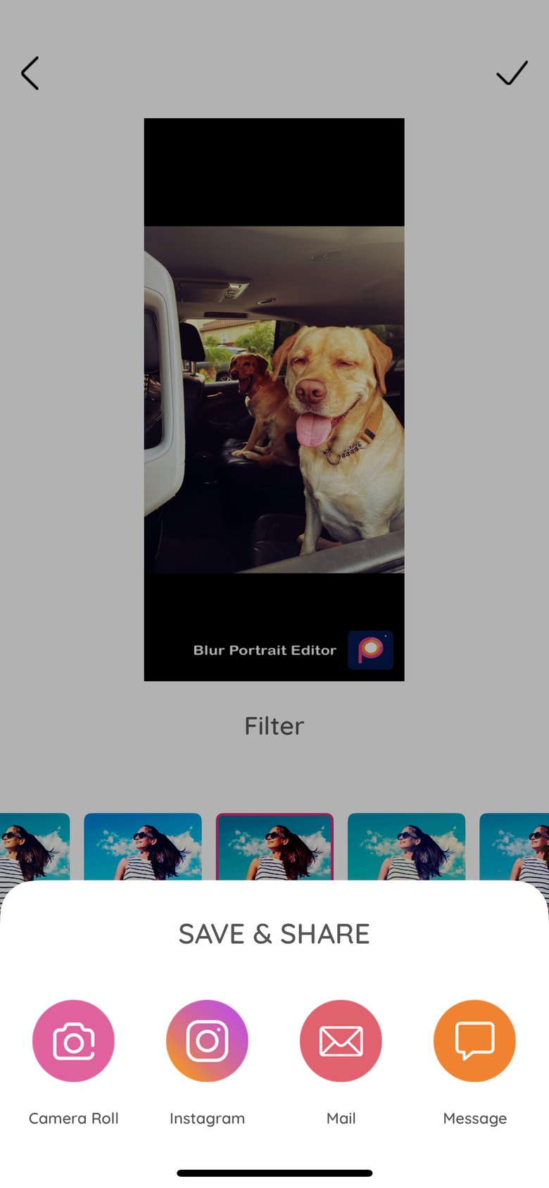 Blur Photo Editor Pro screen 4